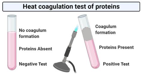 Heat Coagulation test for protein .
